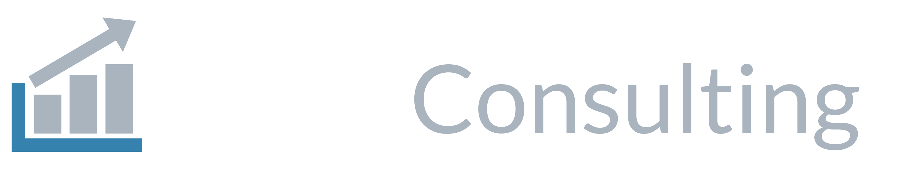 Div9 Consulting logo